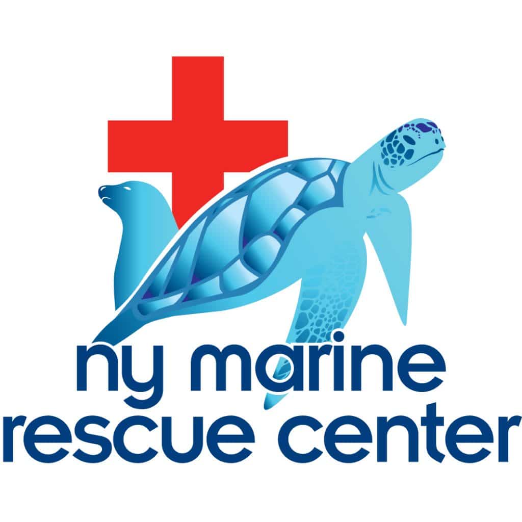 Adoptions | NY Marine Rescue Center