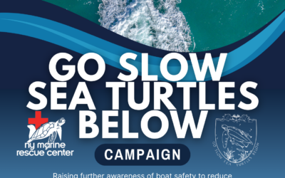 Go Slow!